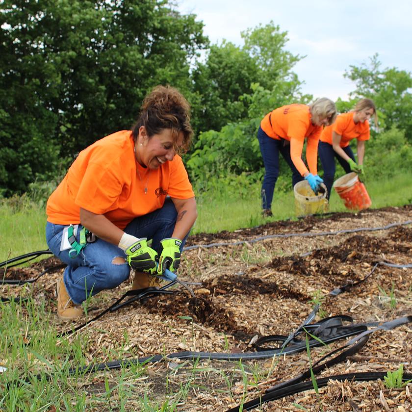 people gardening in bright orange shirts